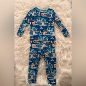 GUC Free Birdees Bamboo Northern Lights Polar Bears Penguin Pajamas 2T